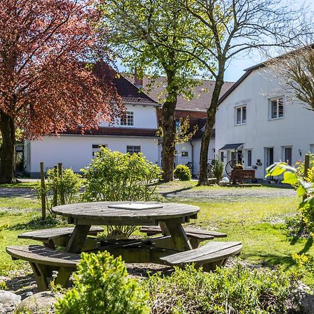 Denkerhof Fewo Blume Des Lebens Reussenkoge Exterior foto